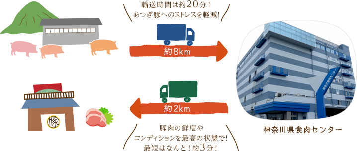 新鮮さと品質の為の流通スピード