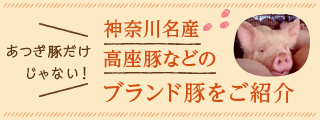 神奈川名産 高座豚などのブランド豚をご紹介