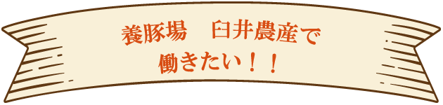 養豚場　臼井農産で働きたい！！