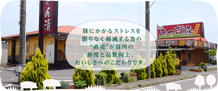 豚にかかるストレスを限りなく軽減する為の“直売”が豚肉の鮮度と品質向上、おいしさへのこだわりです。