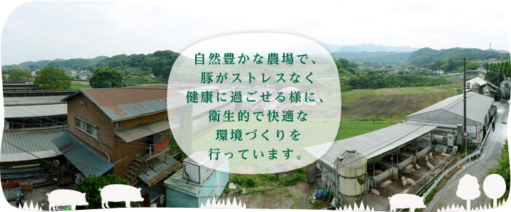 自然豊かな農場で、豚がストレスなく健康に過ごせる様に、衛生的で快適な環境づくりを行っています。