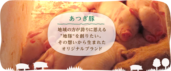 “地域の方が自慢と誇りに思える”地豚“を創りたい。その想いから生まれたオリジナルブランド“あつぎ豚”