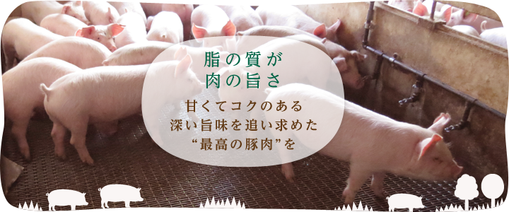 “脂の旨さが肉の旨さ”
甘くてコクのある深い旨味を追い求めた“最高の豚肉”を