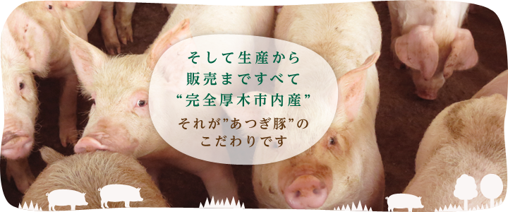 生産から販売まですべて
“完全厚木市内産”それが”あつぎ豚”の誇りです