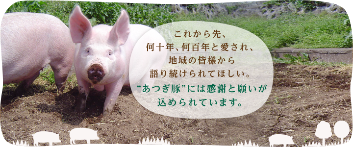 これから先、何十年、何百年と愛され、地域の皆様から語り続けられてほしい。“あつぎ豚”には感謝と願いが込められています。