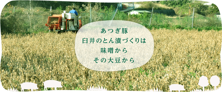 あつぎ豚臼井のとん漬づくりは味噌からその大豆から